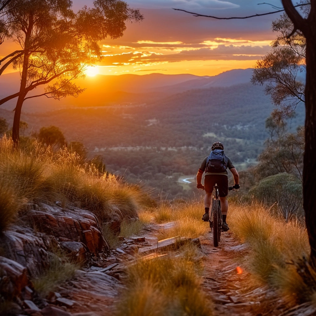Discover the enchantment: Narooma and Eden's trail networks